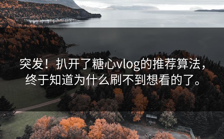 突发！扒开了糖心vlog的推荐算法，终于知道为什么刷不到想看的了。