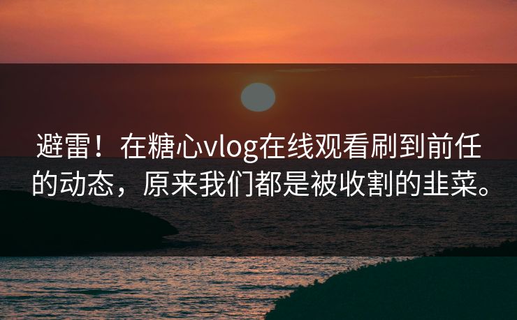 避雷！在糖心vlog在线观看刷到前任的动态，原来我们都是被收割的韭菜。