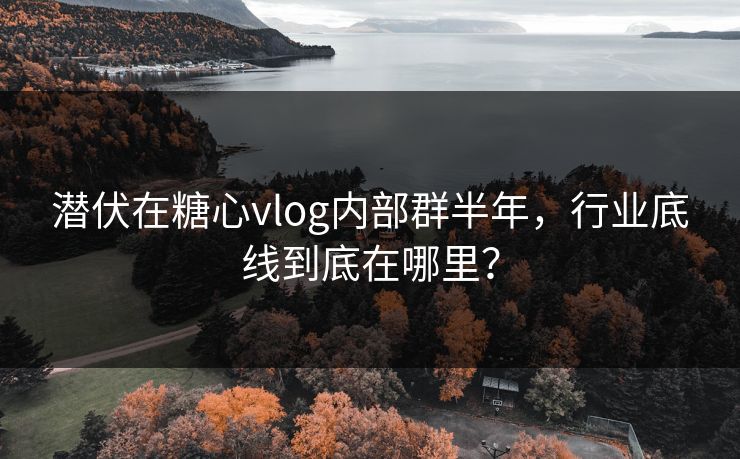 潜伏在糖心vlog内部群半年，行业底线到底在哪里？