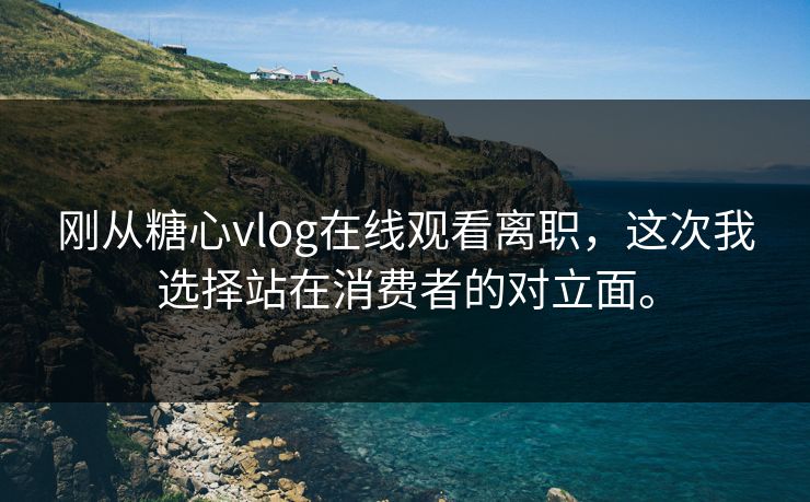 刚从糖心vlog在线观看离职，这次我选择站在消费者的对立面。